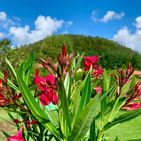 Holiday home Le De L'ecureuil