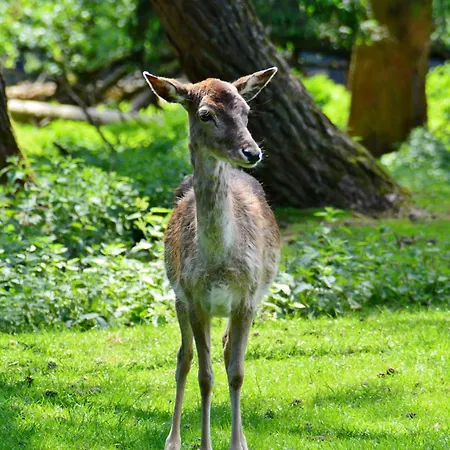 Le De L'ecureuil Holiday home *