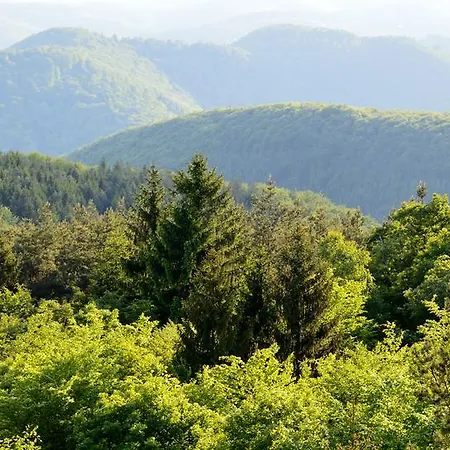 Holiday home Le De L'ecureuil Sturzelbronn