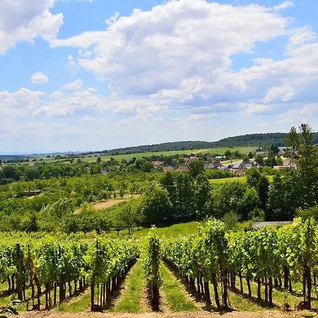 Le De L'ecureuil Sturzelbronn