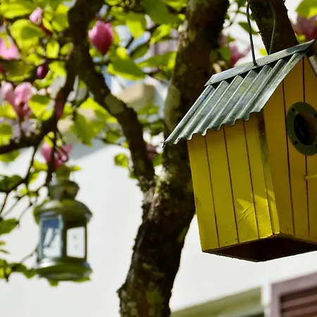 Le De L'ecureuil Feriehus Sturzelbronn