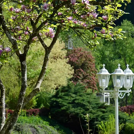 Le De L'ecureuil Sturzelbronn