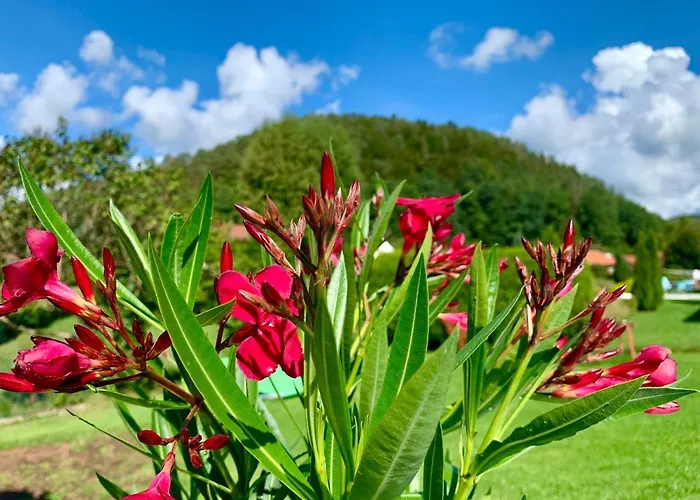 Vakantiehuis Le De L'ecureuil