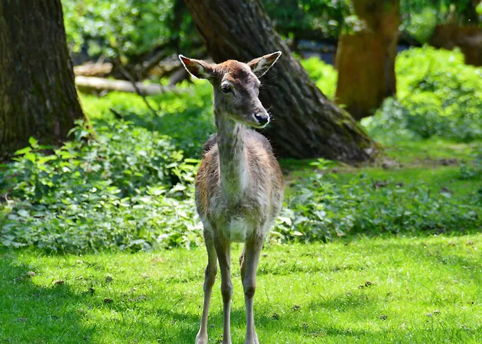 Le De L'ecureuil Vakantiehuis *