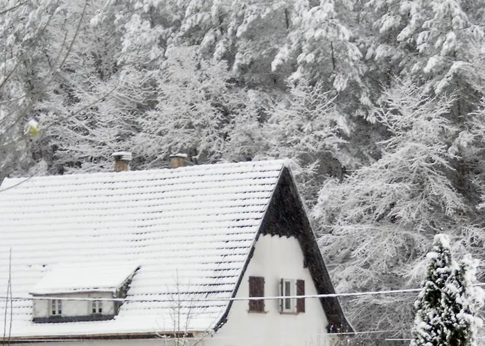 Vakantiehuis Le De L'ecureuil Sturzelbronn