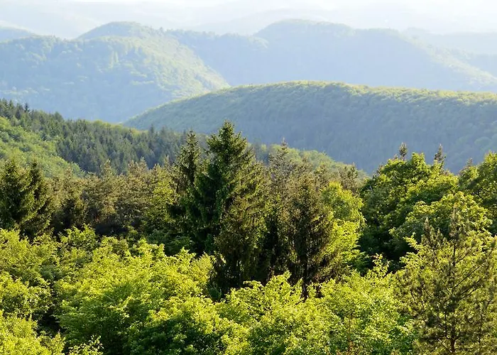 Vakantiehuis Le De L'ecureuil Sturzelbronn