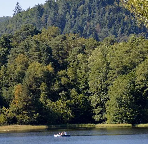 Vakantiehuis Le De L'ecureuil Sturzelbronn
