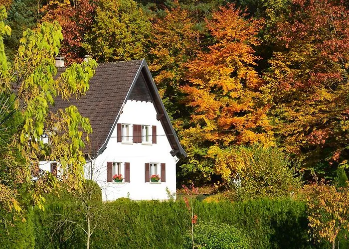 Vakantiehuis Le De L'ecureuil *