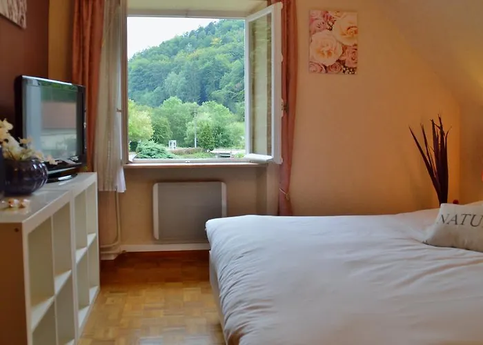 Le De L'ecureuil Sturzelbronn