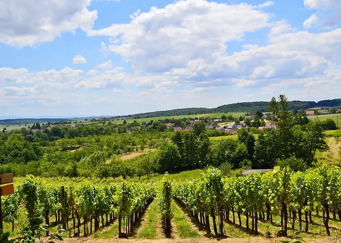 Le De L'ecureuil Sturzelbronn