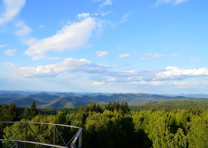 Le De L'ecureuil Vakantiehuis Sturzelbronn