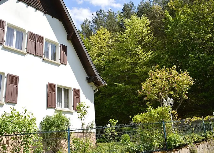 Le De L'ecureuil * Sturzelbronn