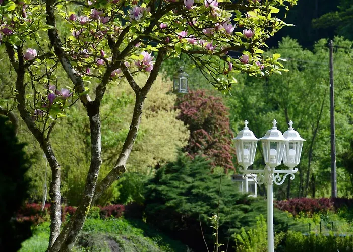 Le De L'ecureuil Sturzelbronn